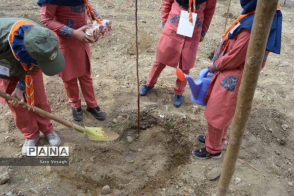 جشن تولد زمین