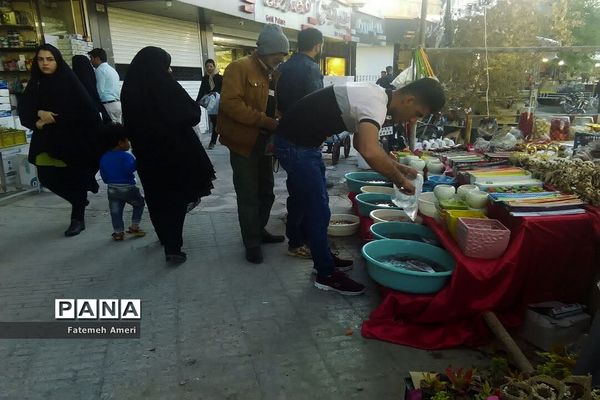 بازار شب عید  در داراب