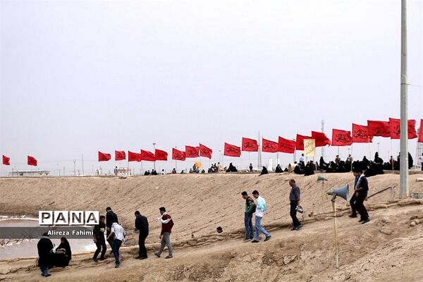 ستارگان جاوید