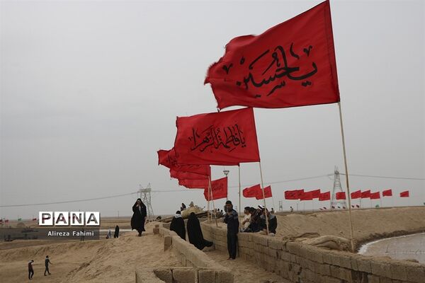 ستارگان جاوید