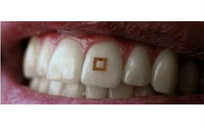 حسگری که مراقب غذای شماست!