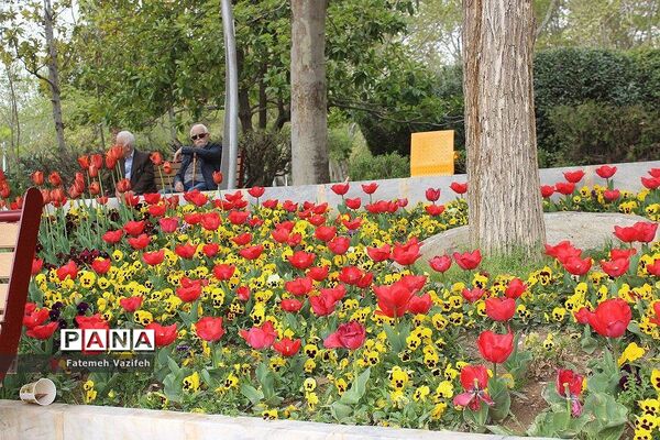 پارک لاله تهران در بهار طبیعت