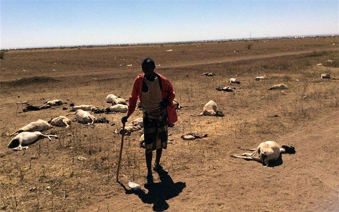 بلایای طبیعی در یک دهه 96 میلیارد دلار به کشاورزی جهان خسارت وارده کرده است