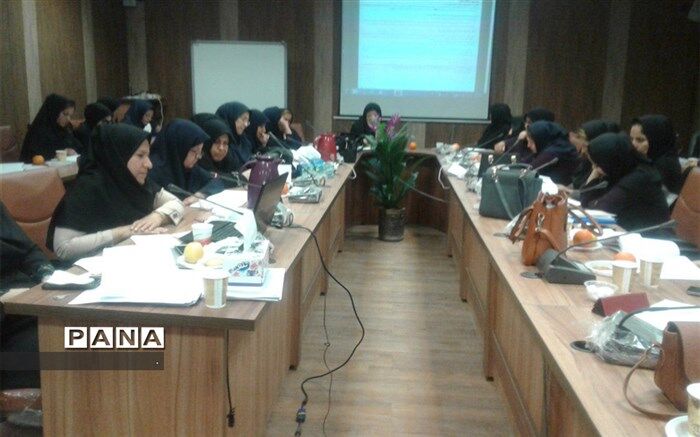 کارگاه خدمات نوین سلامت سالمندان در شهرستان چرام برگزار شد