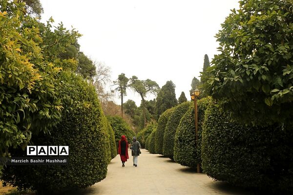 باغ ارم شیراز