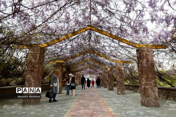پل طبیعت تهران در نوروز