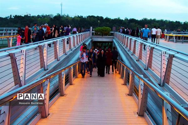 پل طبیعت تهران در نوروز