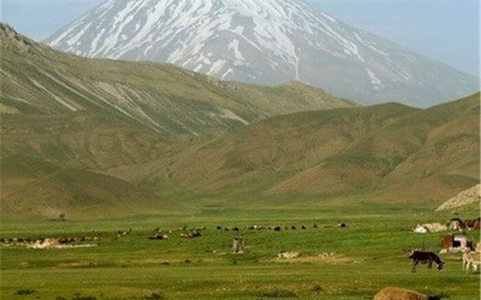 توصیه‌های هواشناسی کشاورزی تا ۱۴ فروردین‌ به تفکیک استان