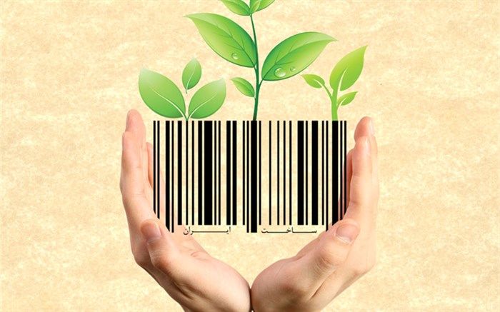 آرگون، عضو هیات نمایندگان اتاق بازرگانی  تهران:‌ حمایت از کالای ایرانی خلق فرصت‌هایی است که منجر به تولیدکالای کیفی و قابل رقابت شود