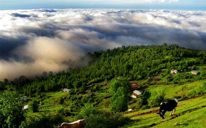 سه میلیون گردشگر نوروزی از روستاهای مازندران بازدید کردند