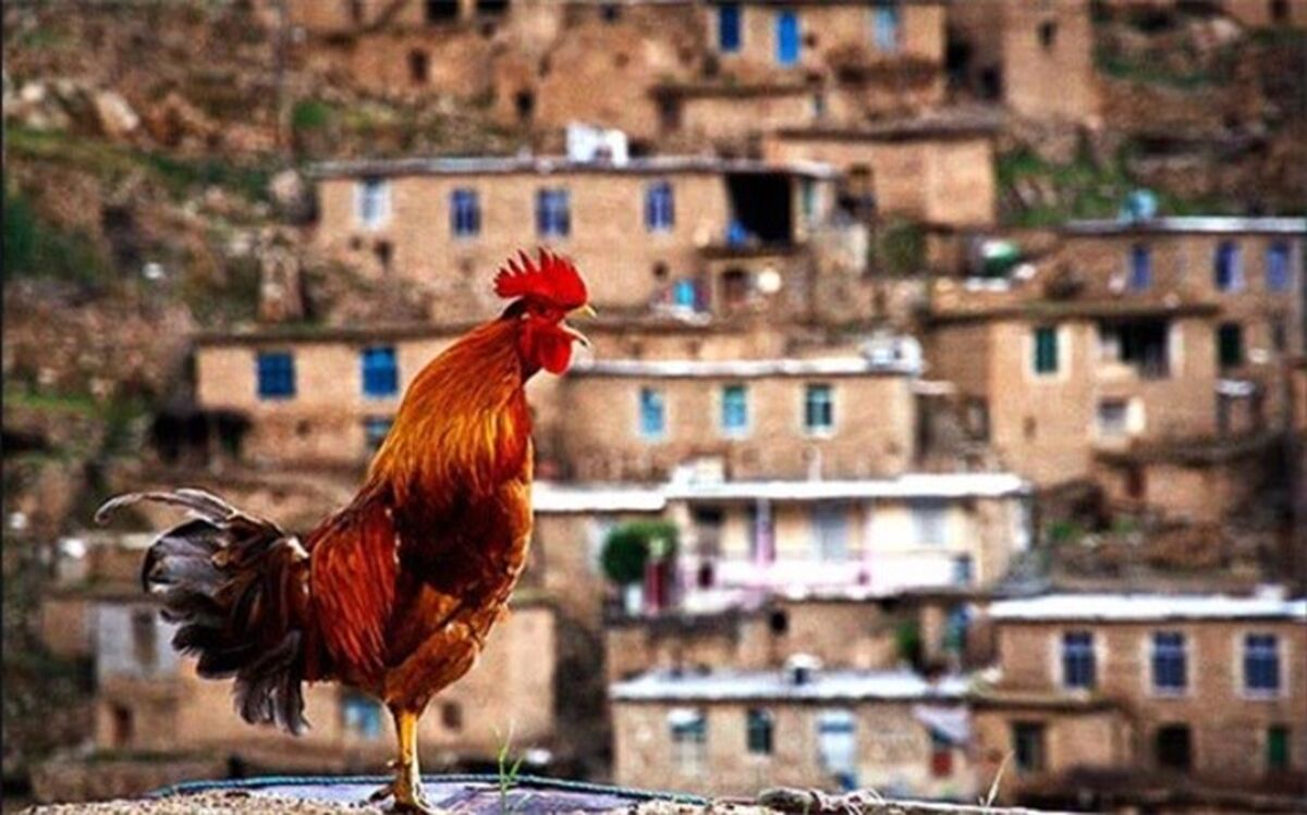 بازگشت زندگی به روستای عشایری با احداث اقامتگاه