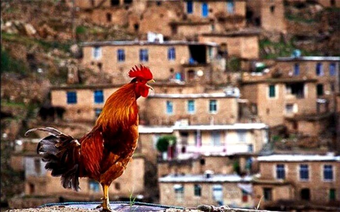 بازگشت زندگی به روستای عشایری با احداث اقامتگاه