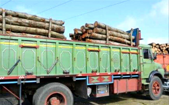 کشف 19 تن چوب جنگلی قاچاق در آمل