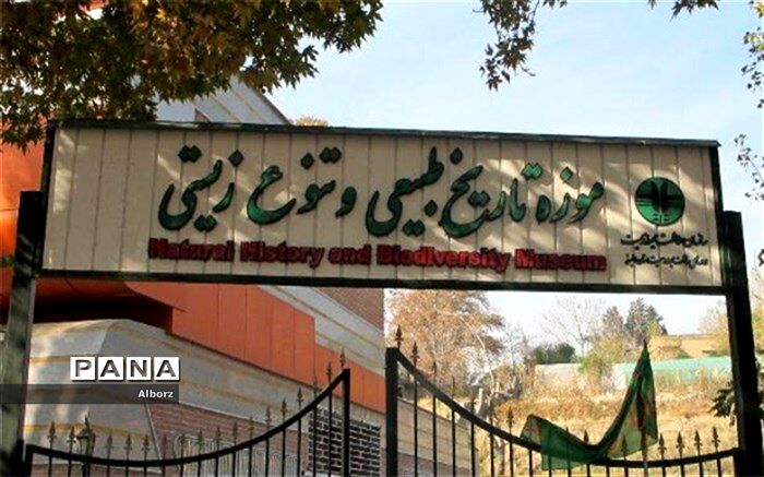ازسرگیری مجدد بازدید دانش آموزان از موزه تاریخ طبیعی و تنوع زیستی در سال ۹۷