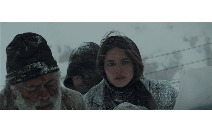 فیلم سینمایی «دایان» در جشنواره جهانی فجر به روی پرده می‌رود