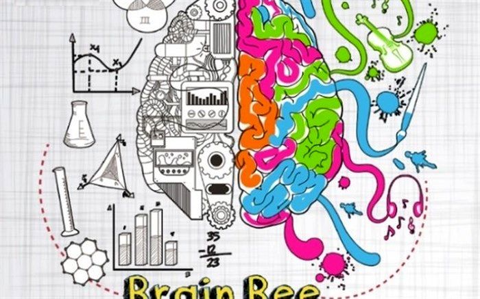 کسب دو مدال برتر رقابت های ملی "دانش مغز" توسط دانش آموزان خوزستانی
