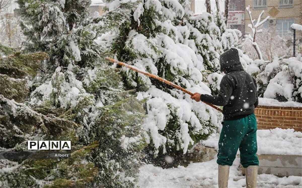 آماده باش شهرداری کرج برای حفاظت از فضای سبز و رفع آبگرفتگی