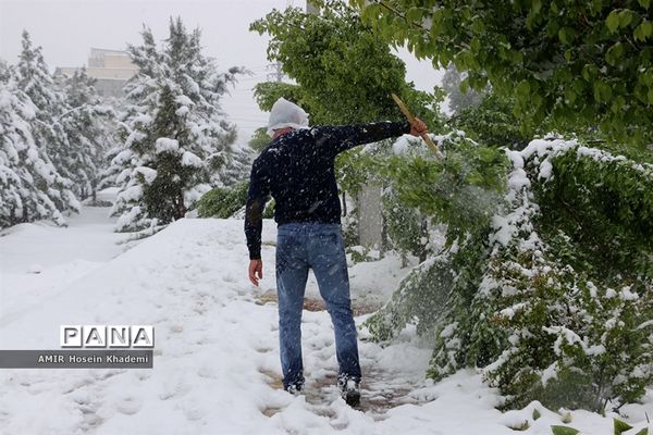 برف ریزان بهاری با بارش برف زمستانی در کرج