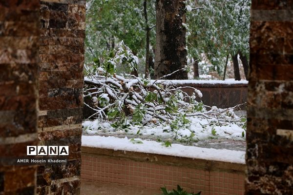 برف ریزان بهاری با بارش برف زمستانی در کرج