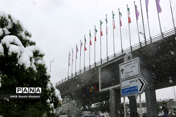 برف ریزان بهاری با بارش برف زمستانی در کرج