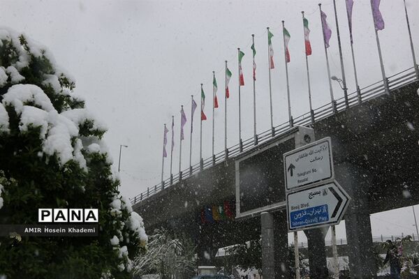 برف ریزان بهاری با بارش برف زمستانی در کرج
