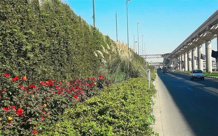 پیشرفت 80درصدی احداث دیواره سبز در بلوار زائر
