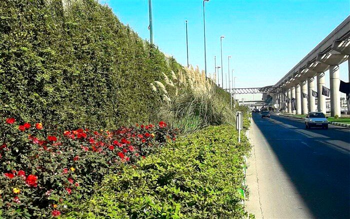 پیشرفت 80درصدی احداث دیواره سبز در بلوار زائر