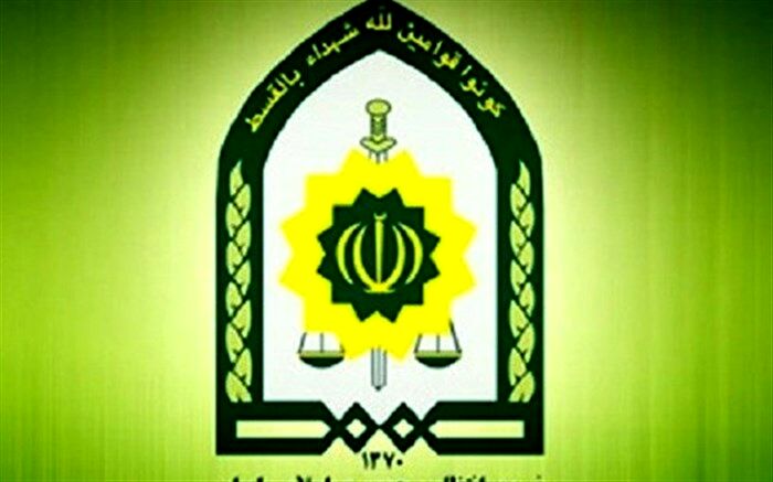 واکنش ناجا به ضرب و شتم یک دختر توسط پلیس در پارک