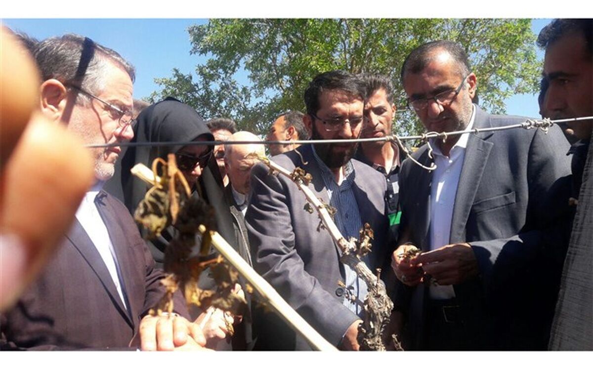 تا دو روز آینده کلیه مطالبات و غرامت خسارت کشاورزان کشور پرداخت می شود