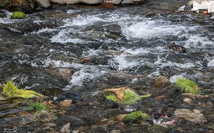 پاکداشت طبیعت در منطقه ولیان شهرستان ساوجبلاغ