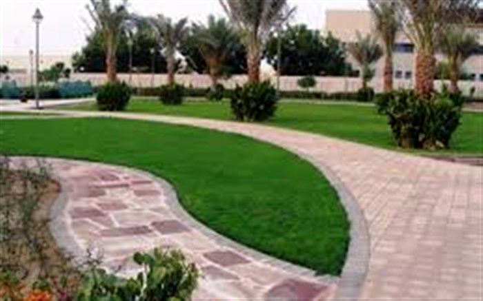 سرانه فضای سبز شهرداری منطقه 3 سنندج افزایش می یابد