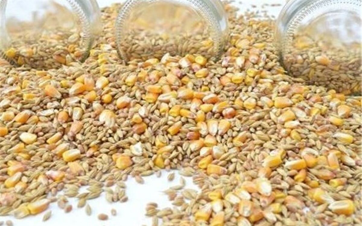 مدیرعامل شرکت پشتیبانی امور دام کشور مطرح کرد:‌تامین و عرضه گسترده نهاده های مورد نیاز صنعت طیور