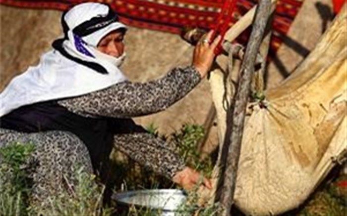 هفتمین جشنواره توانمندیهای عشایر شاهسون مغان برگزارشد