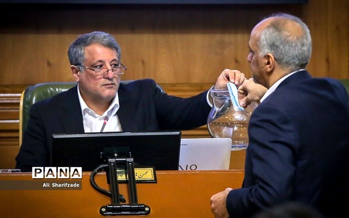 رئیس شورای شهر خبر داد: ارسال پرونده شهرداری  افشانی به وزارت کشور