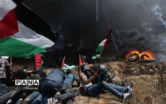 شیخ الاسلام : راه نابودی اسرائیل بمباران و حمله نظامی نیست