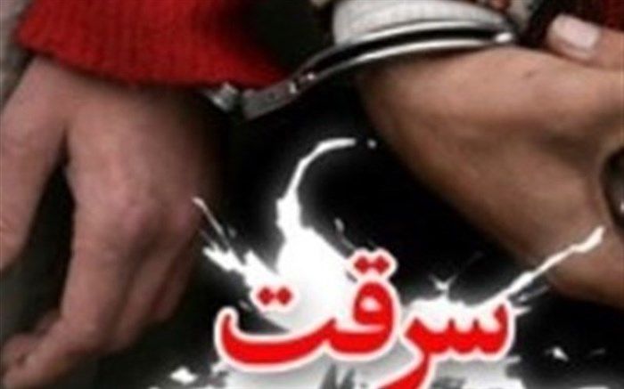 سارقان خودرو در گلستان زمین‌گیر شدند