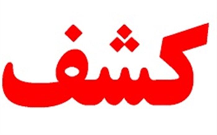دستگیری قاچاقچی اشیای تاریخی درشهرستان دهلران
