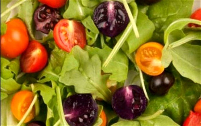 تولید محصولات تراریخته راهی به سوی تامین امنیت غذایی کشور