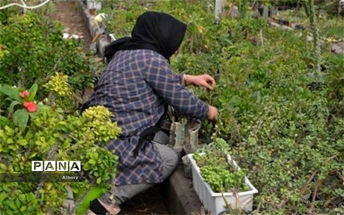 ۴ هزار فرصت شغلی برای محرومان البرزی ایجاد می‌شود