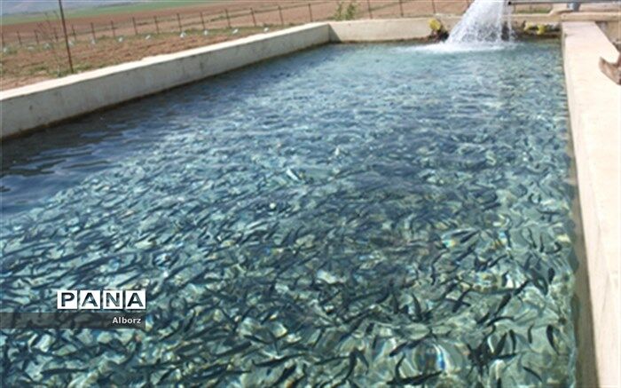 اشتغال زایی حدود ۱۰۰۰ نفر به صورت مستقیم درشیلات البرز
