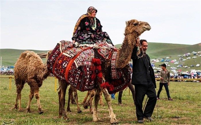 ارائه آموزش‌های مهارتی به ۲۵ هزار نفر از عشایر آذربایجان غربی