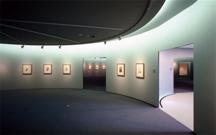 موزه فلسطین میزبان نمایشگاه عکس «آفرینش» شد