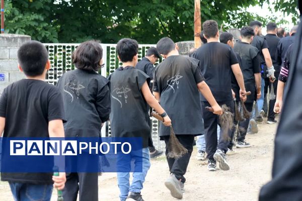 تاسوعای حسینی در روستای پیمد نور 