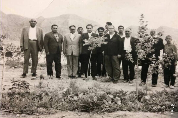 ماجرای همدلی یک شهر در مستند «جنگل قائم»