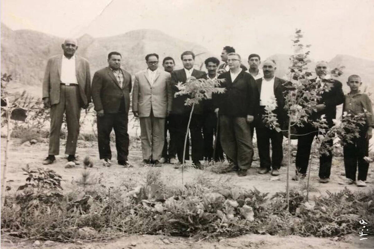 ماجرای همدلی یک شهر در مستند «جنگل قائم»