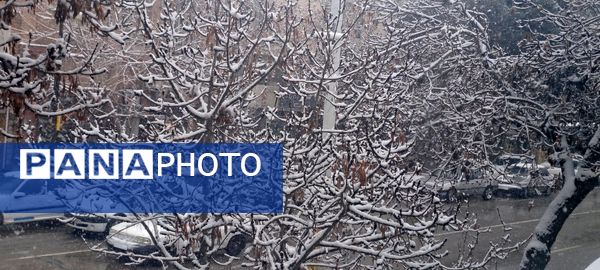 شهر نیشابور سفید پوش شد 