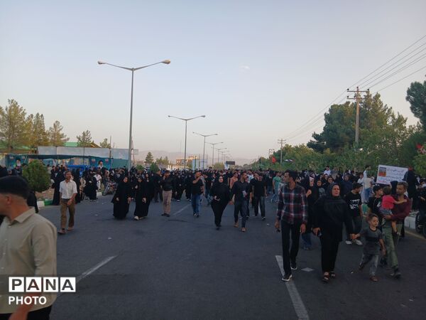 قدم هایی در راه سیدالشهدا
