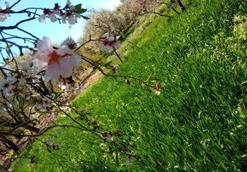 روز طبیعت در قاب پانا