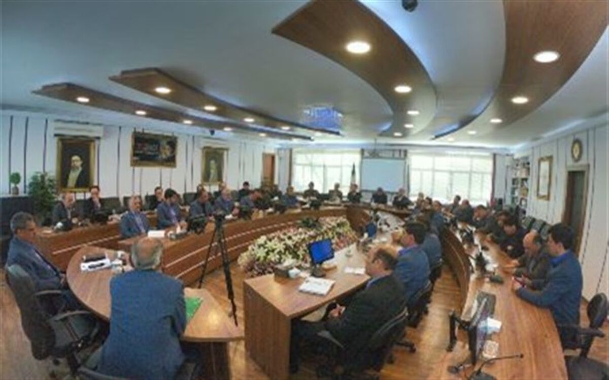 نقش بالای آموزش و پرورش در رشد و توسعه معارف رضوی