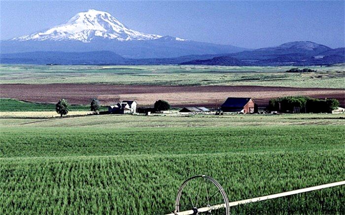 ​گزارش توصیه‌های هواشناسی کشاورزی به تفکیک استان‌ها تا ۲۵ شهریور ماه از سوی سازمان هواشناسی کشور منتشر شد.